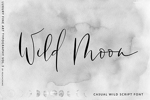 Wild Moon - Casual Script Font