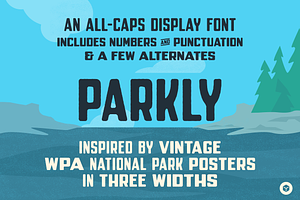 Parkly Vintage-y Display Font