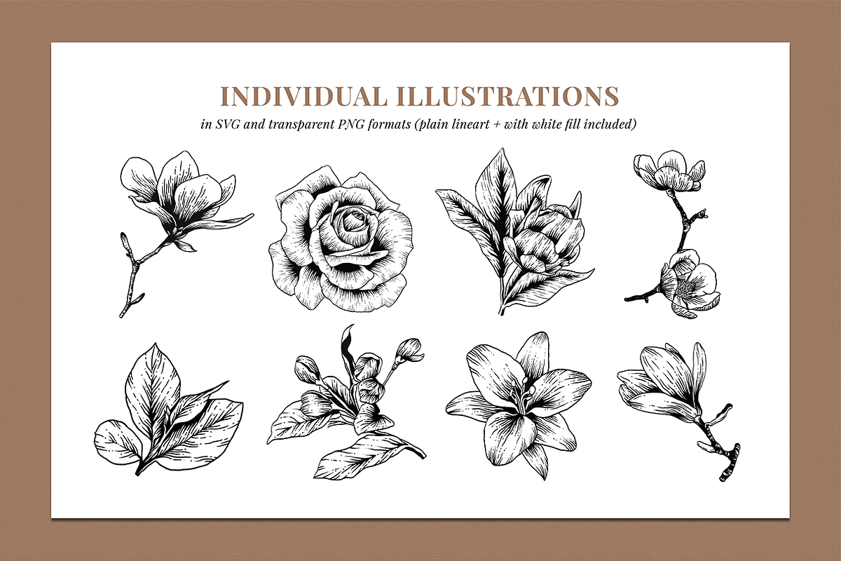 Botanical Illustration Bundle, an Illustration by Rough Edges Supply Co. (Photo 4 of 17)
