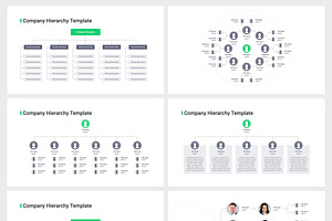 Company Hierarchy PowerPoint