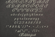 Dalvic – Calligraphy Font, a Script Font by NDNL Studio (Thumbnail 10 of 11)