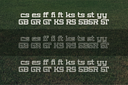 Roaring Tribune | Sport Varsity, a Slab Serif Font by Denustudios (Thumbnail 11 of 12)