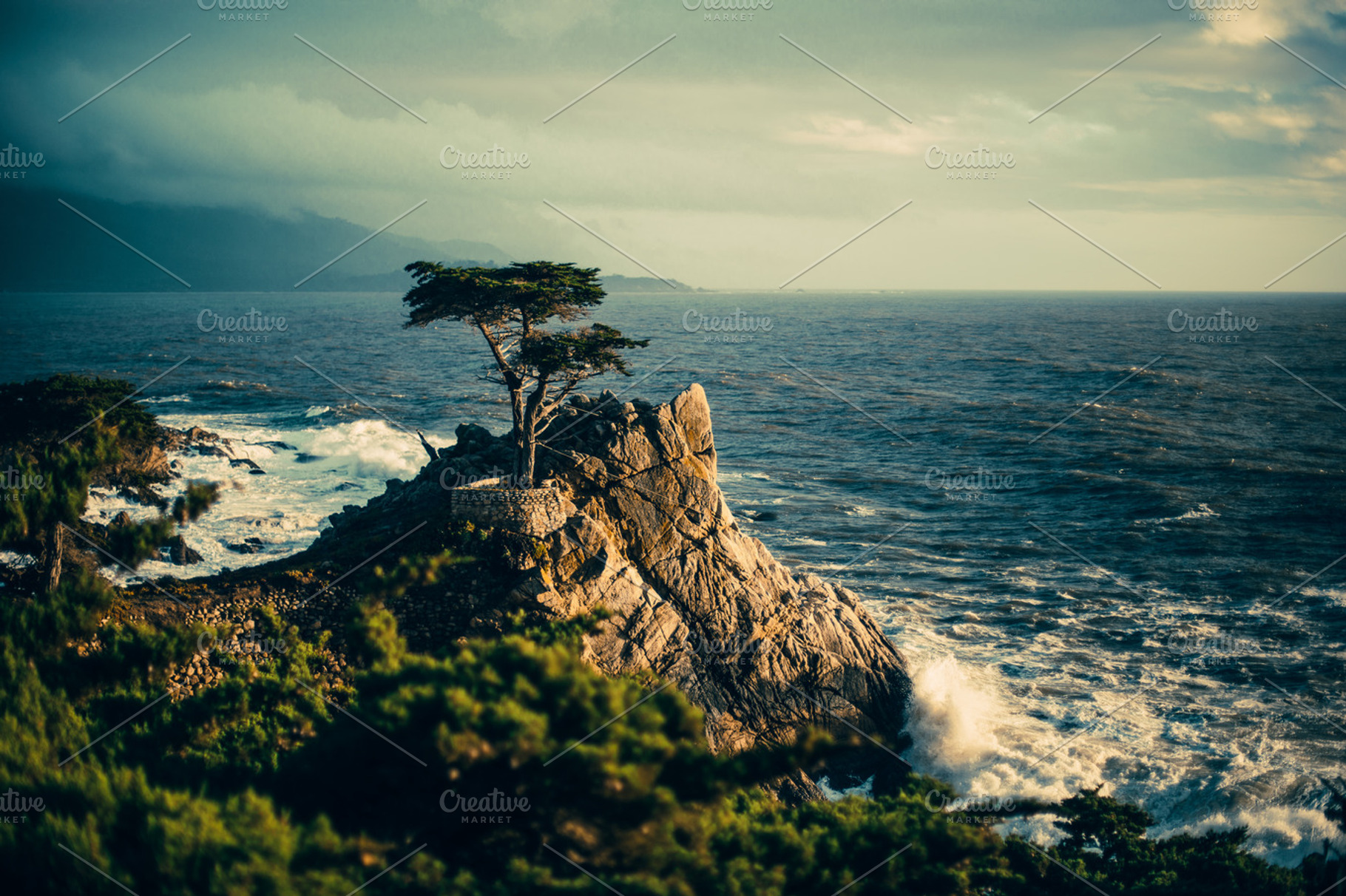 Lone cypress tree california ocean containing cliffs, ocean, and waves, a Nature Photo by Moth Owl Photography
