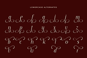 Elegant Wedding Serif - Rapodhite, a Serif Font by Font Liner (Thumbnail 11 of 13)