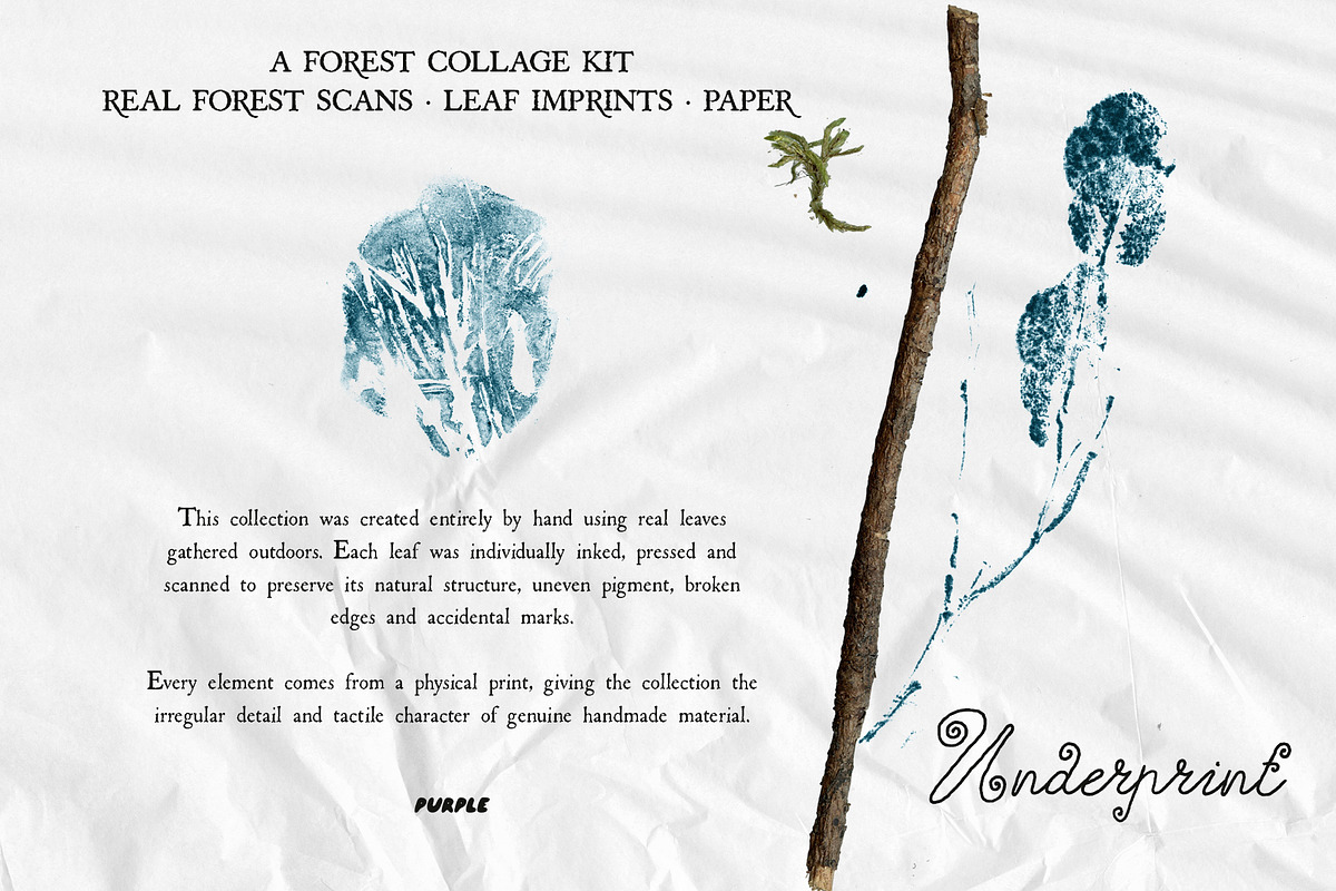 Leaf Imprints, Forest Scans & Paper, an Object Graphic by Purple (Photo 3 of 20)
