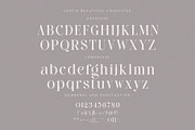 Cartis Beautyful Font Duo, a Serif Font by ToniStudio (Thumbnail 12 of 14)