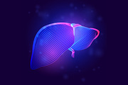 Vector set of human inner organs, a Healthcare Illustration by Rodionoff (Thumbnail 4 of 7)