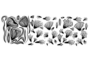 Set of flowers from lines, an Illustration by Nenahliadava Design