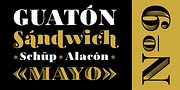 Tectónica, a Serif Font by Untype (Thumbnail 7 of 14)