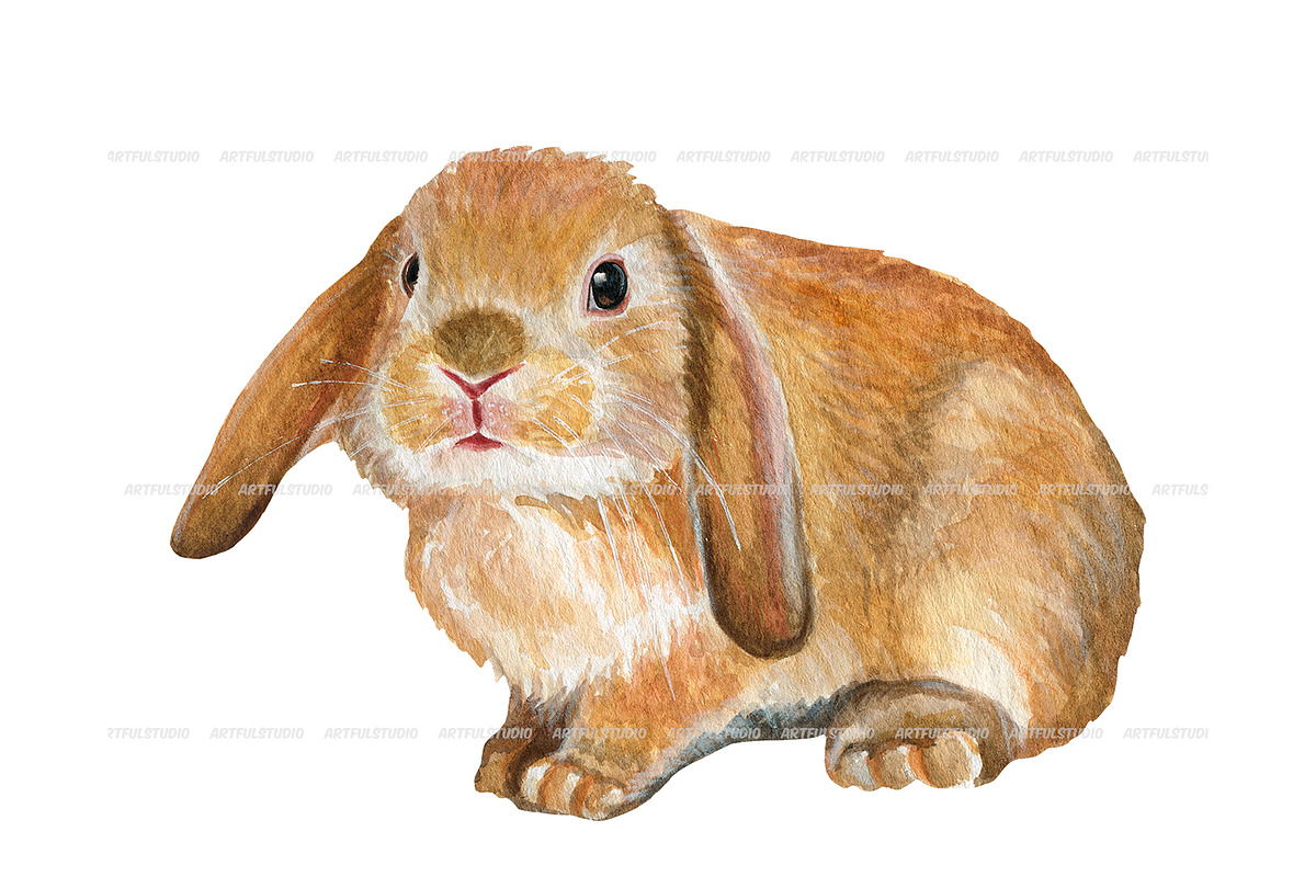 Watercolor Realistic Rabbits clipart, an Animal Illustration by ArtfulStudio (Photo 6 of 8)