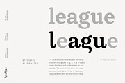 TT Tricks, a Serif Font by TypeType (Thumbnail 9 of 10)