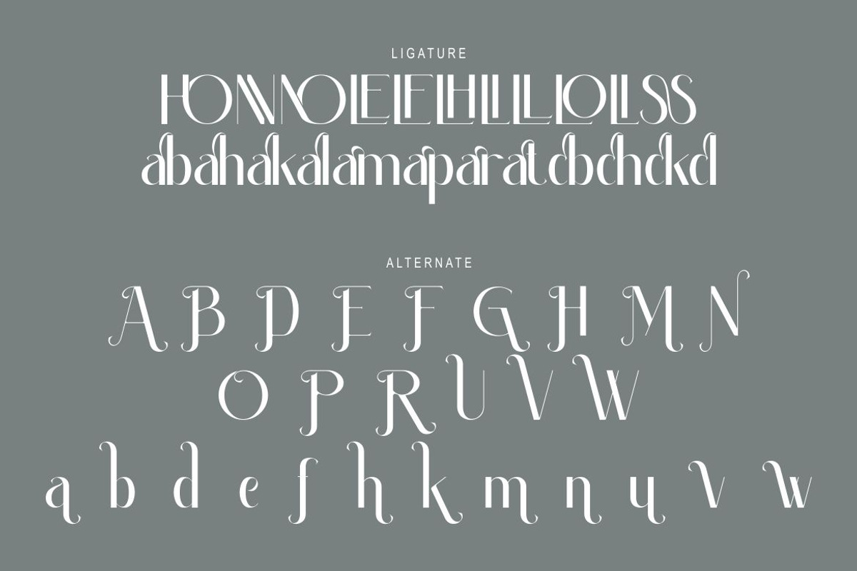 Emellda, a Serif Font by Kenrichi (Photo 7 of 12)