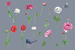 Poppies@Bird Watercolor Clipart