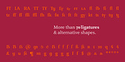 Benedikt, a Sans Serif Font by Finaltype (Thumbnail 13 of 20)