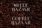 Equinox Stylish Font duo & logo set, a Slab Serif Font by Studio Aurora (Thumbnail 3 of 13)
