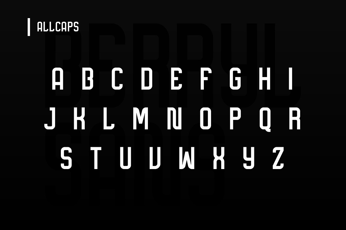 Sans Serif Font - BERRYL SANS preview 2