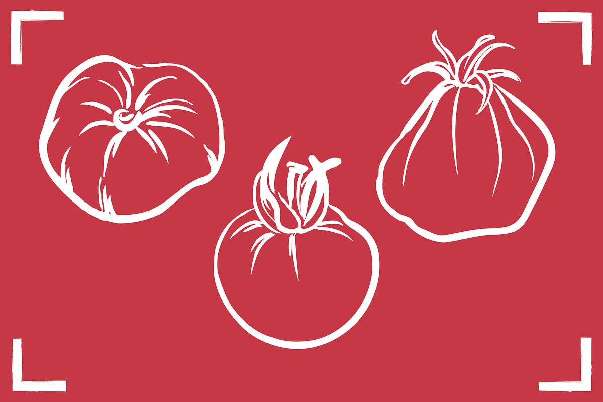 TOMATO LINE ART SET (24 elements), a Food Illustration by Bonfloret Studio (Photo 4 of 9)