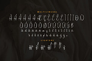 Niwatch, a Script Font by kerismaker (Thumbnail 3 of 10)