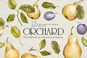 Orchard fruit. Pears and plums, an Illustration by RushkinaAntonina (Thumbnail 3 of 4)