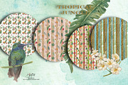 Tropical Jungle, an Animal Illustration by patriziamoscone (Thumbnail 3 of 4)