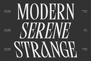 CS Bolgery – Elegant Serif Font, a Serif Font by Craft Supply Co. (Thumbnail 2 of 8)