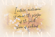 Sattersoon - Modern Script Font, a Script Font by Garisman Std (Thumbnail 10 of 10)