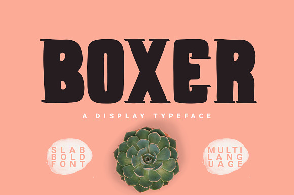 Boxer Typeface preview 8