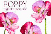Pink watercolor digital Poppy flower, a Decorative Illustration by Harmony Draws (Thumbnail 1 of 6)