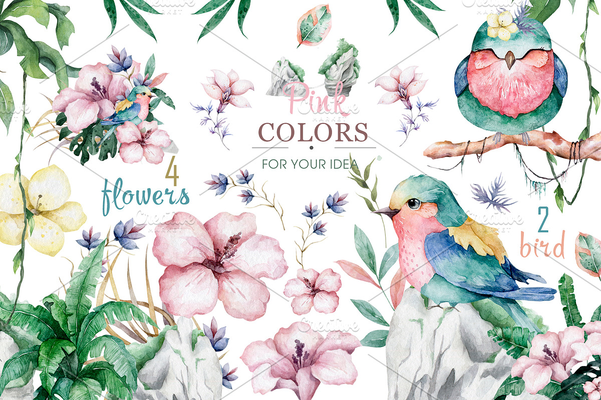 Tropical Wildlife Watercolor set, an Illustration by Ann Art Houze (Photo 4 of 13)