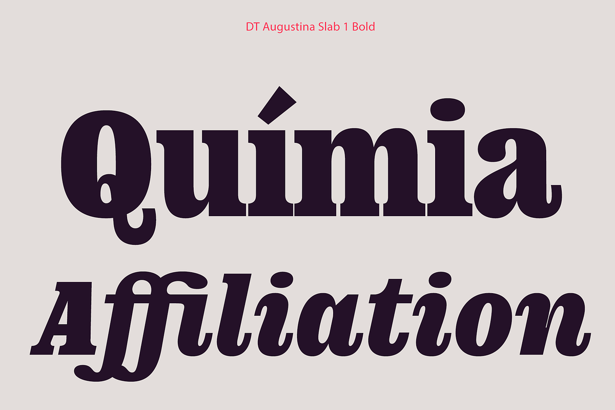 DT Augustina Slab 1 Subfamily, a Slab Serif Font by Deveze Type Foundry (Photo 13 of 31)
