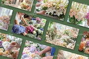 50 Florist Stock Photos, a Nature Photo by Incomelion (Thumbnail 8 of 9)