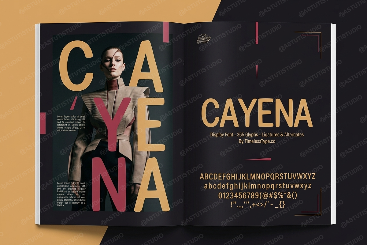 Cayena - Modern Serif, a Serif Font by Astuti Studio (Photo 7 of 25)