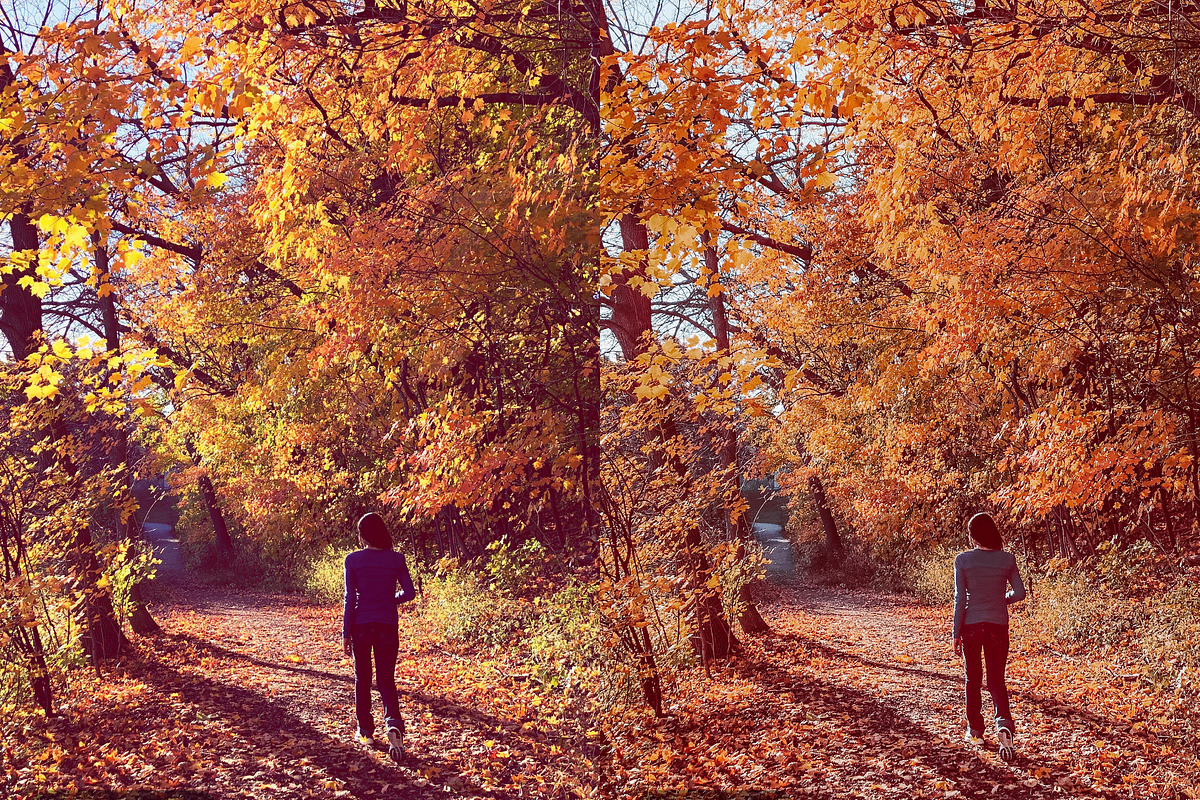 10 Forest Lightroom Presets, a Preset Add-On by RamsaGraphi (Photo 9 of 10)