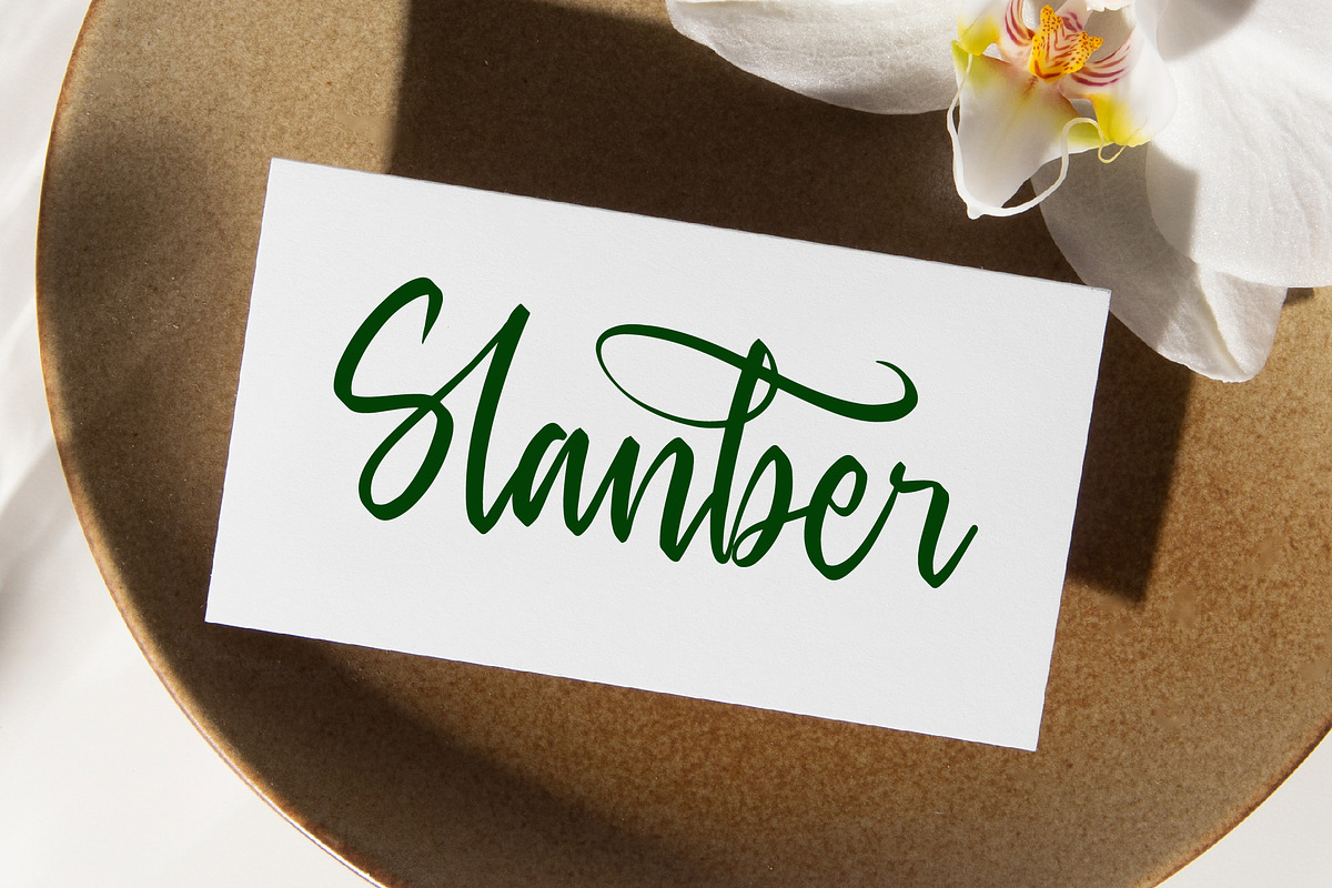 Baghera Thenetta Modern Handwritten, a Script Font by stylishtype.co (Photo 12 of 20)