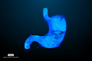 Smoky shapes of human organs, a Healthcare Illustration by Julvil (Thumbnail 3 of 7)