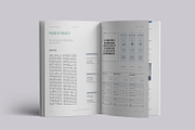 Proposal, a Brochure Template by Elite_Standard (Thumbnail 10 of 14)