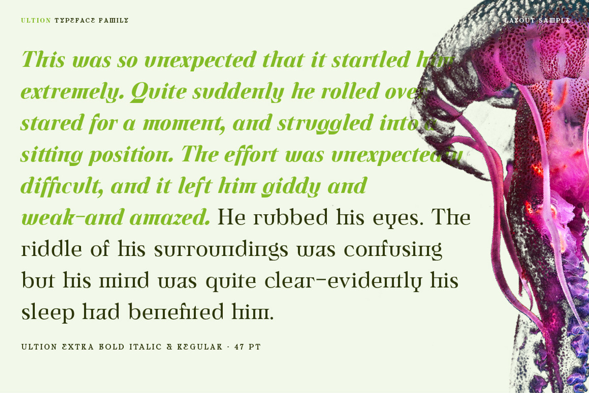 Ultion, a Serif Font by Typogama (Photo 12 of 16)