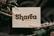 Qairen Modern Retro Serif Font, a Serif Font by Storytype Studio (Thumbnail 8 of 15)