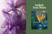 125 Floral & Botanical Stock Photos, a Nature Photo by Incomelion (Thumbnail 2 of 12)