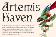 CS Morish Drawn, a Serif Font by Craft Supply Co. (Thumbnail 3 of 8)