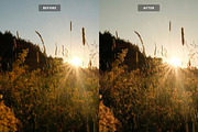 Golden Boho Lightroom Presets, a Preset Add-On by Brand Earth (Thumbnail 3 of 4)