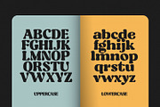 Retro Pica - Bold Decorative Serif, a Serif Font by creativemedialab (Thumbnail 3 of 13)
