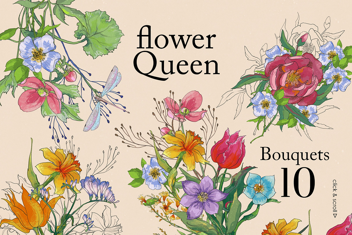 Flower Queen. Botanical vintage, an Object Illustration by Colden Blue (Photo 3 of 14)