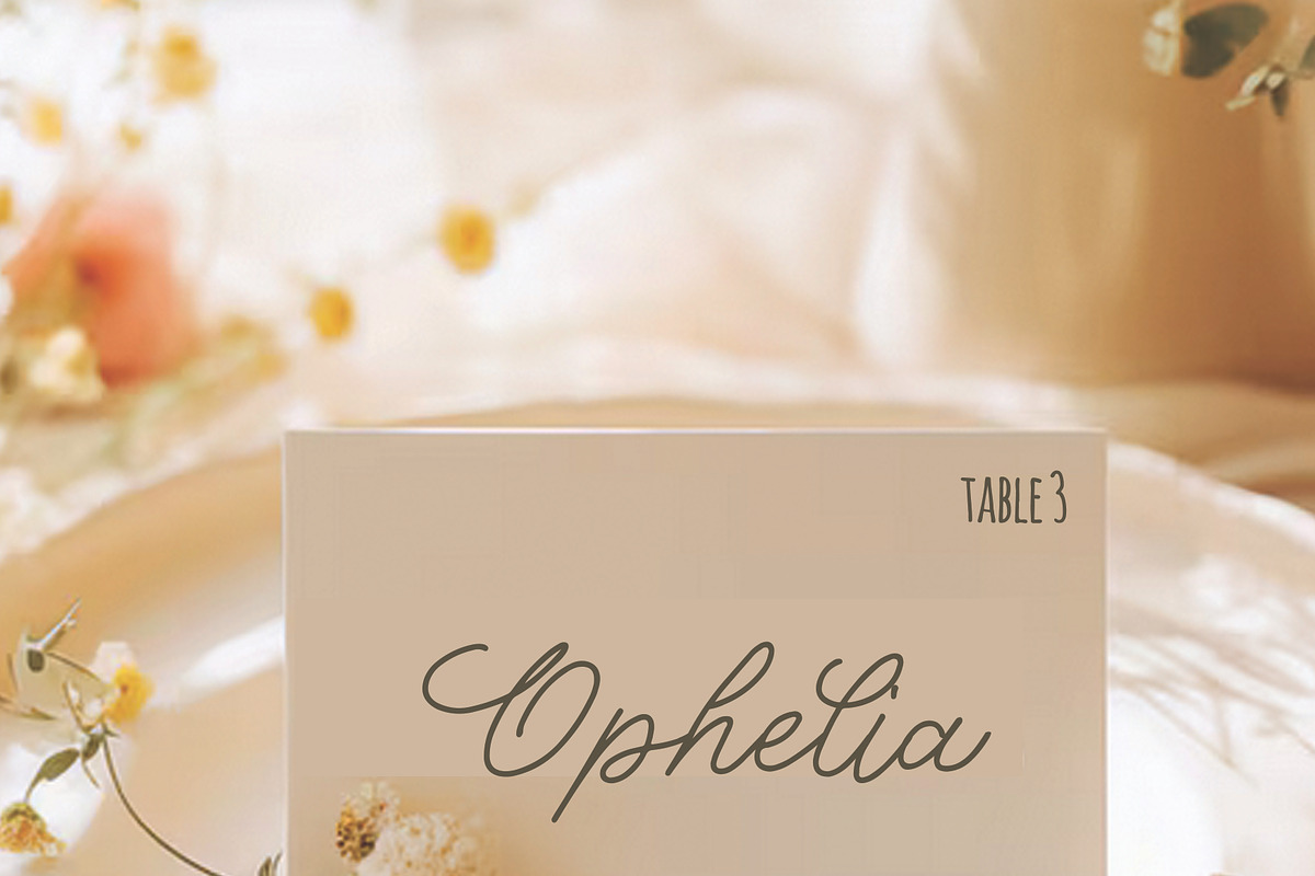 Whimsical Wedding Invitation Font, a Handwritten Font by Amalia Calligraphy (Photo 8 of 8)