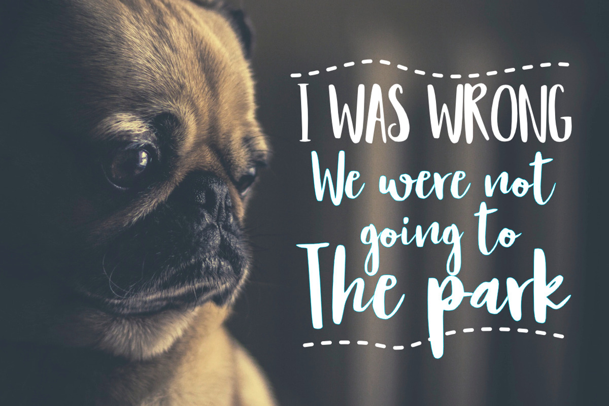 Resign Modern Brush Font preview 4