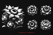 10 Bundle Dark Art Rafflesia Flower, an Illustration by Morspective (Thumbnail 5 of 7)