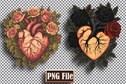 Floral Heart Clipart Bundle Png, an Object Graphic by protabsorkar11 (Thumbnail 4 of 9)