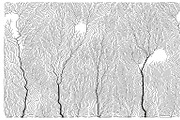 Growth - 50 Backgrounds, a Texture Graphic by GarryKillian (Thumbnail 51 of 51)