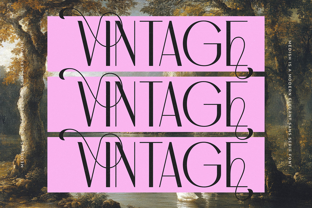 Medish - Modern Elegant Sans Serif, a Sans Serif Font by timelesstype.co (Photo 9 of 15)