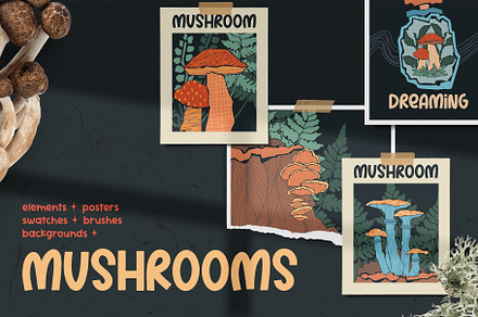 Mushroom Vibes Creator Kit